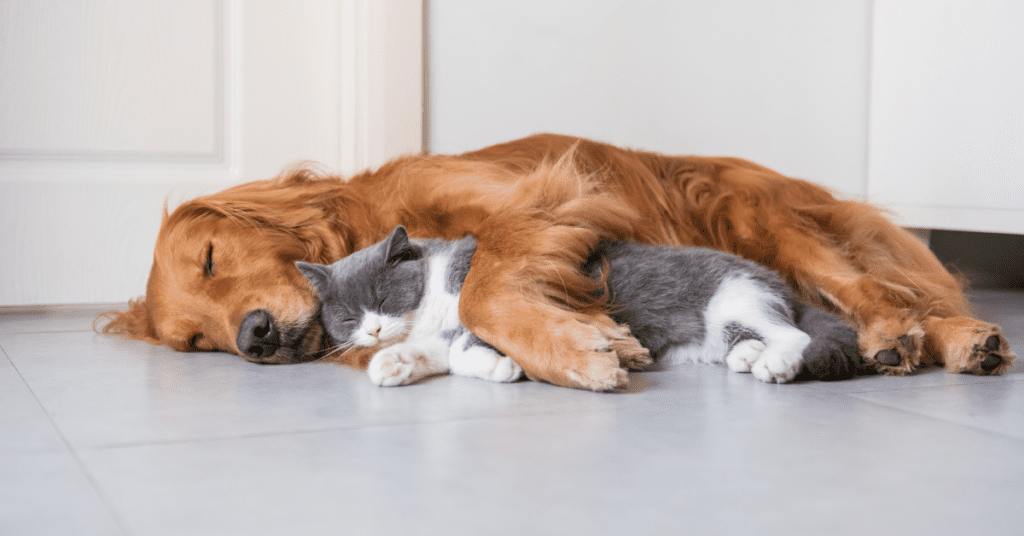 5 Ways to Improve Indoor Air Quality