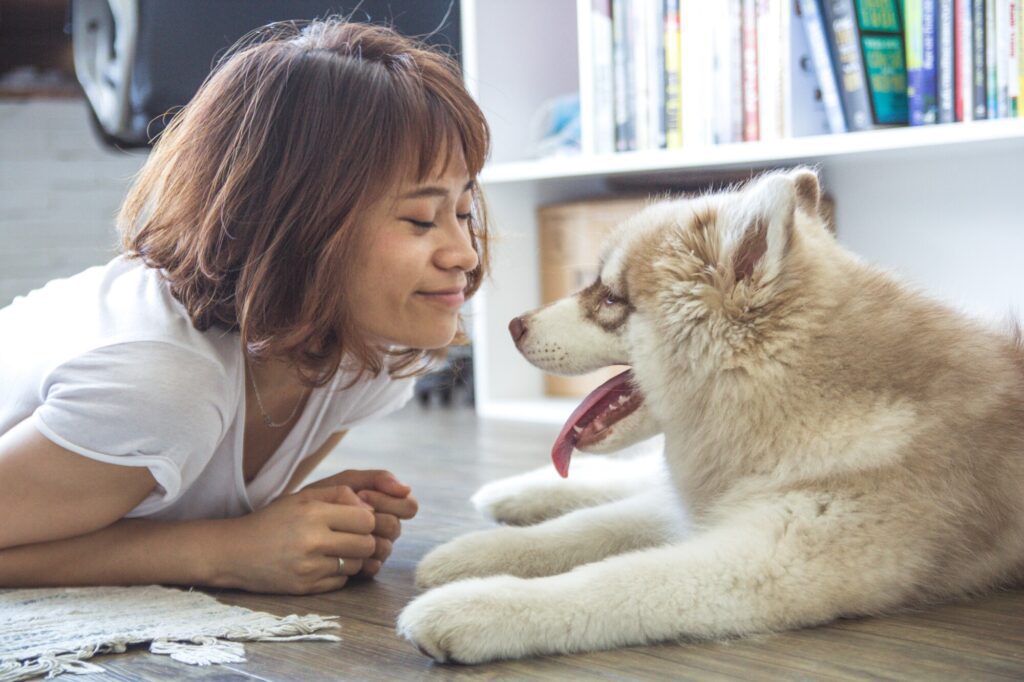 What Is a Comfortable Temperature For Dogs?